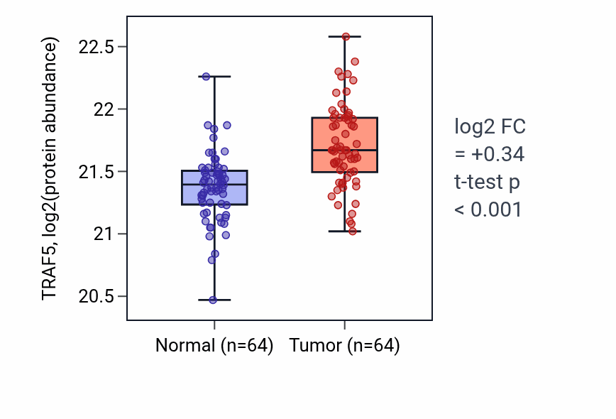 Tumor-vs-normal mass-spec protein box plot for TRAF5 in LUAD.