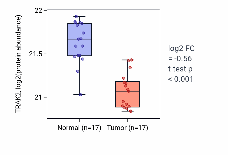 Tumor-vs-normal mass-spec protein box plot for TRAK2 in LSCC.