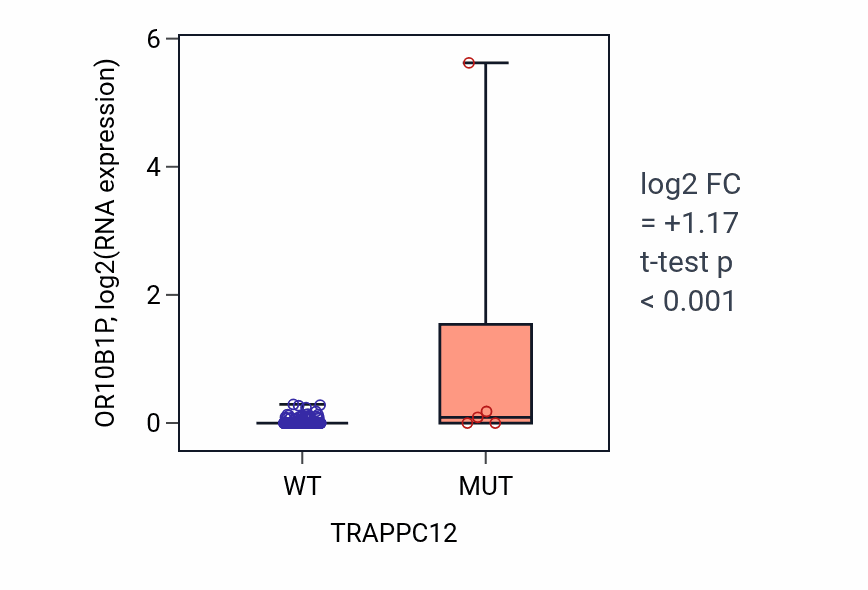 Box plot of OR10B1P in TRAPPC12-low vs TRAPPC12-high samples in BLCA.