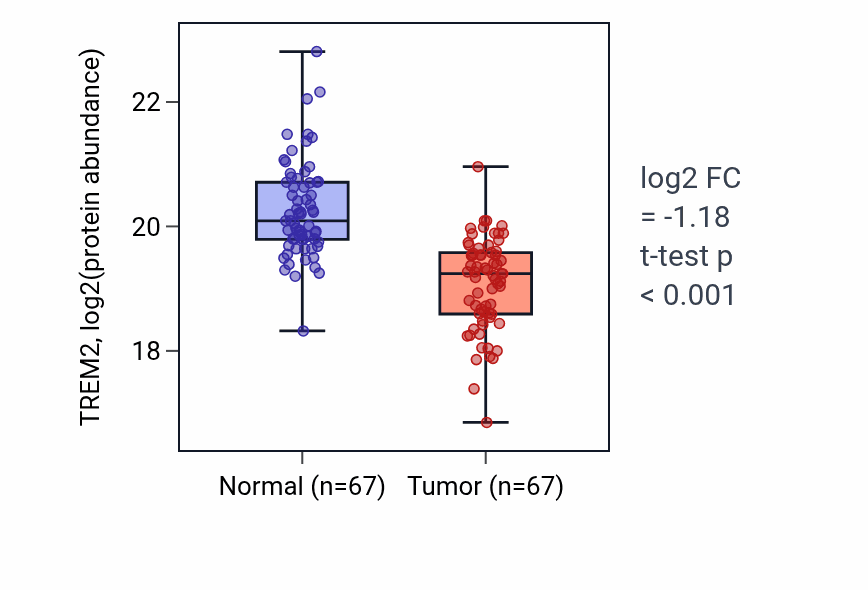 Tumor-vs-normal mass-spec protein box plot for TREM2 in LSCC.