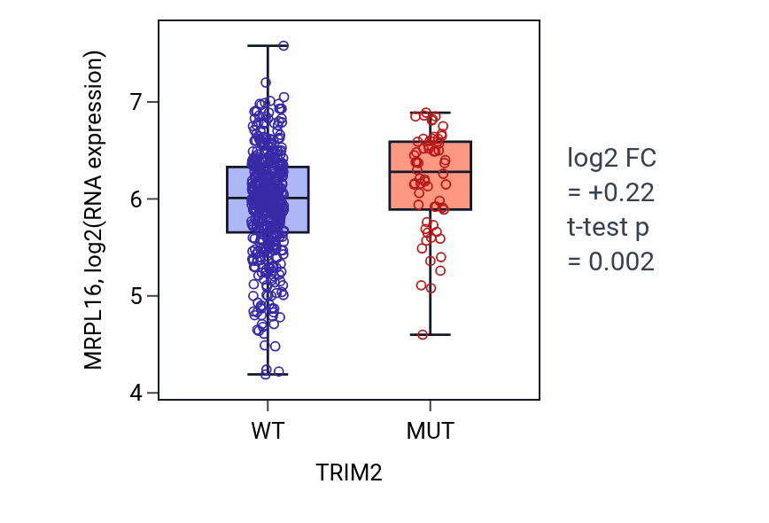 Box plot of MRPL16 in TRIM2-low vs TRIM2-high samples in UCEC.