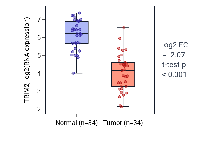 Tumor-vs-normal expression box plot for TRIM2 in KIRC.