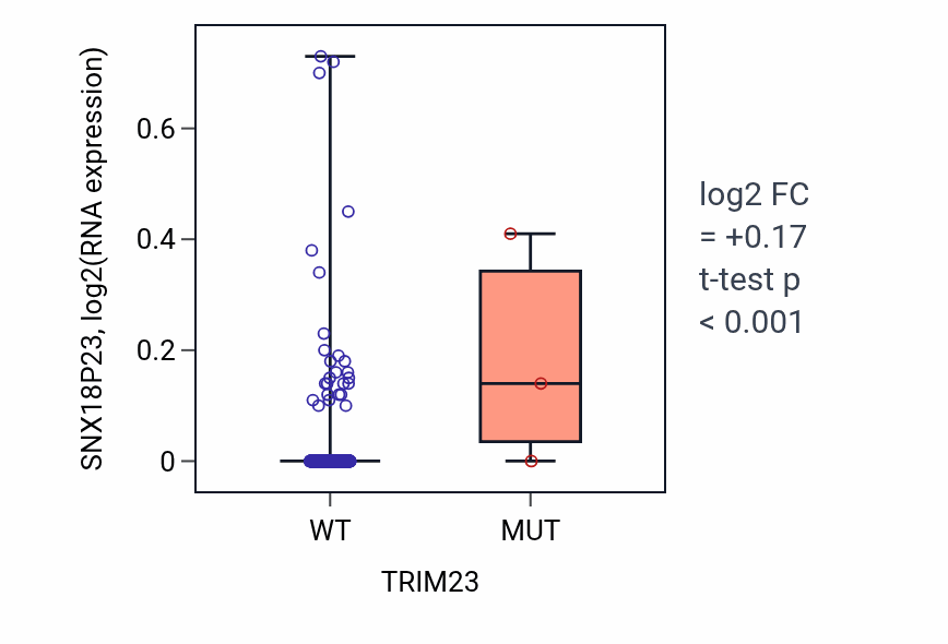 Box plot of SNX18P23 in TRIM23-low vs TRIM23-high samples in HNSC.
