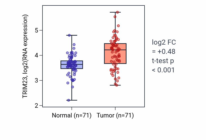 Tumor-vs-normal expression box plot for TRIM23 RNA in KIRC.