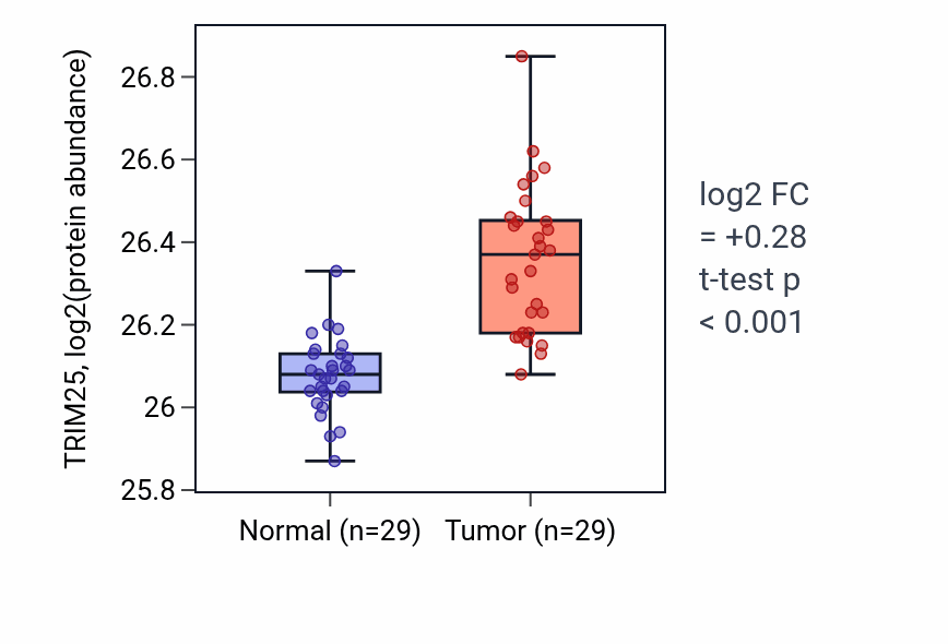 Tumor-vs-normal mass-spec protein box plot for TRIM25 in CCRCC.