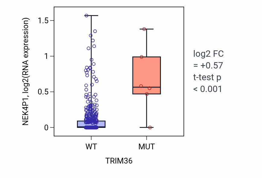 Box plot of NEK4P1 in TRIM36-low vs TRIM36-high samples in HNSC.