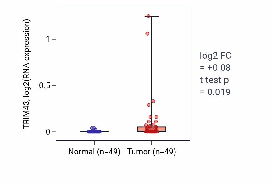Tumor-vs-normal expression box plot for TRIM43 in LUSC.
