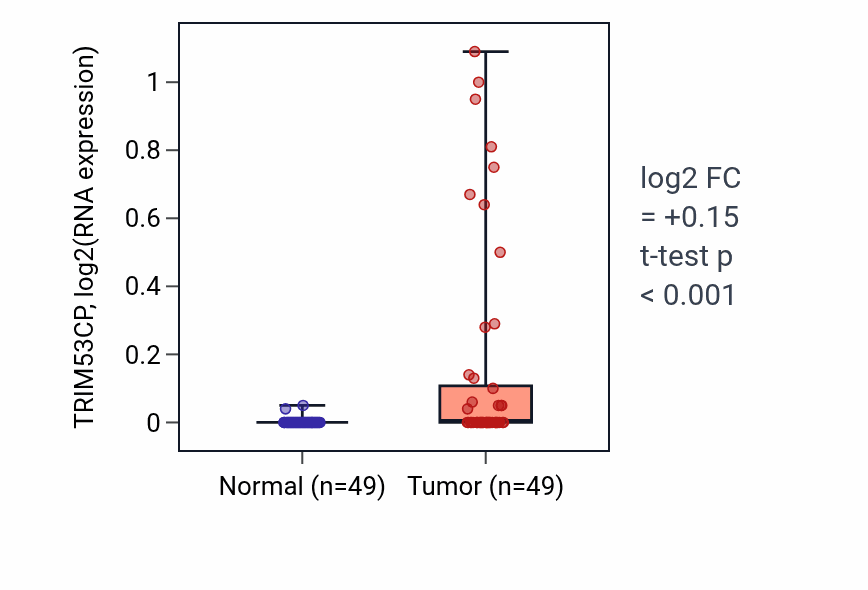 Tumor-vs-normal expression box plot for TRIM53CP RNA in LUSC.