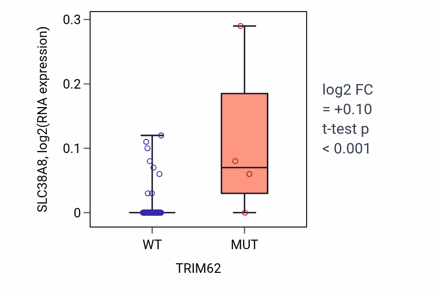 Box plot of SLC38A8 in TRIM62-low vs TRIM62-high samples in BLOOD_Lymphoma.