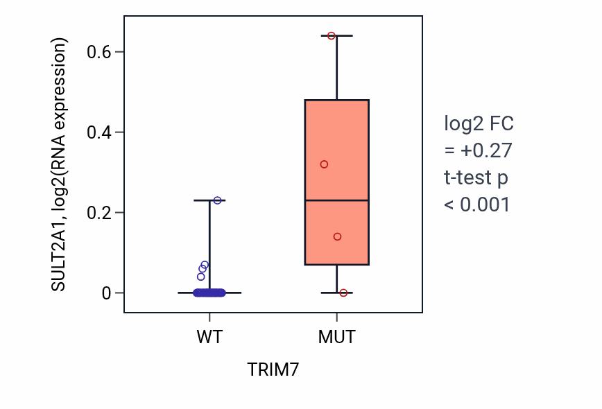 Box plot of SULT2A1 in TRIM7-low vs TRIM7-high samples in LUNG_SCLC.