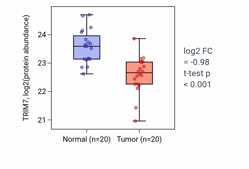 Tumor-vs-normal mass-spec protein box plot for TRIM7 in HNSC.