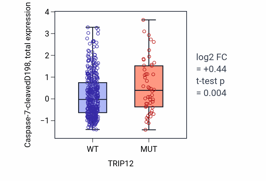 Box plot of Caspase-7-cleavedD198 in TRIP12-low vs TRIP12-high samples in UCEC.