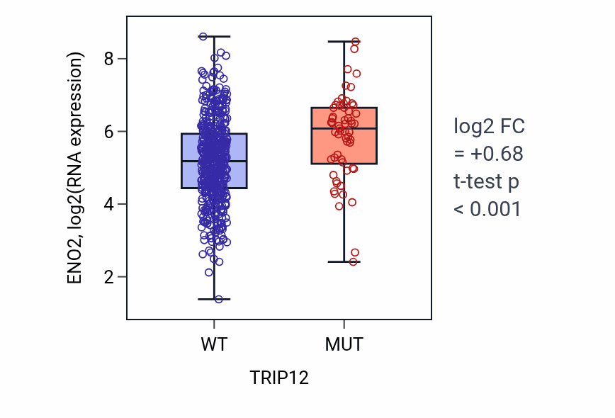 Box plot of ENO2 in TRIP12-low vs TRIP12-high samples in UCEC.