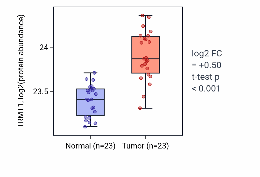 Tumor-vs-normal mass-spec protein box plot for TRMT1 in HNSC.