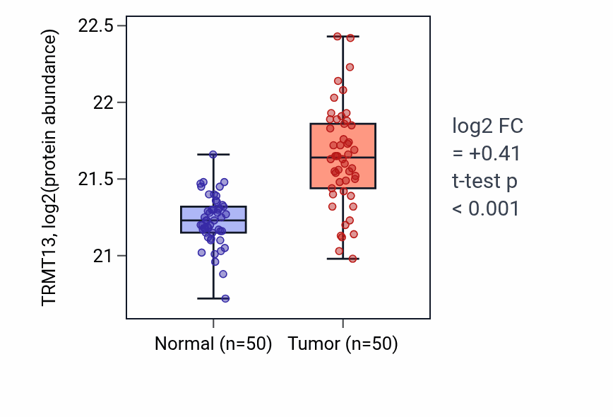 Tumor-vs-normal mass-spec protein box plot for TRMT13 in LSCC.