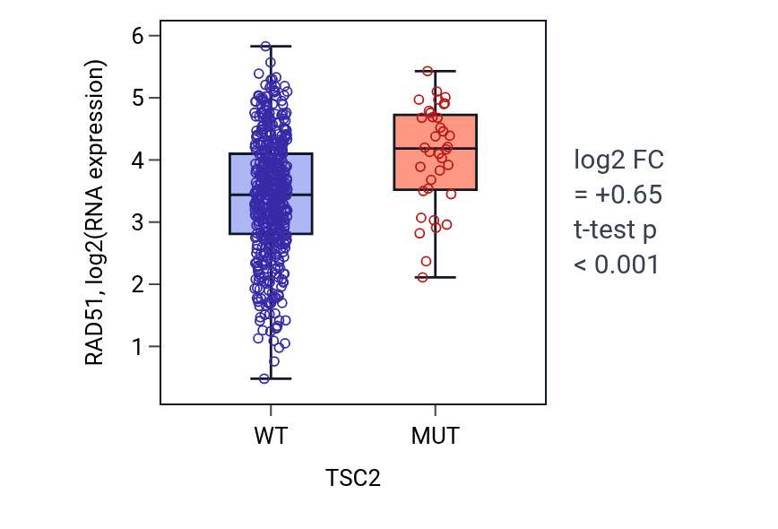 Box plot of RAD51 in TSC2-low vs TSC2-high samples in UCEC.