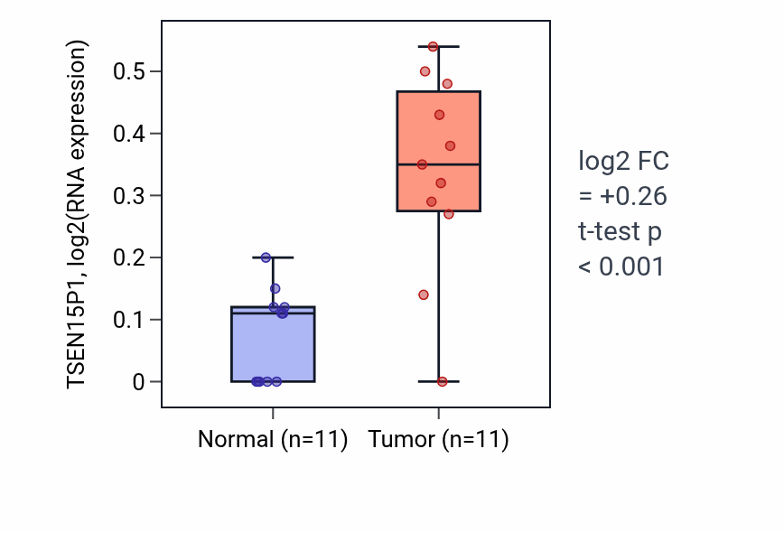 Tumor-vs-normal expression box plot for TSEN15P1 in HNSC.