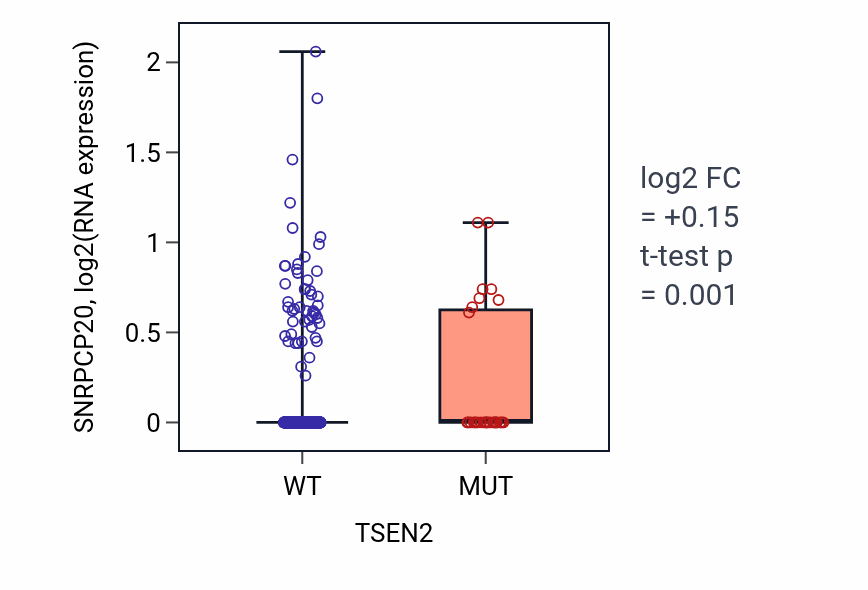 Box plot of SNRPCP20 in TSEN2-low vs TSEN2-high samples in UCEC.