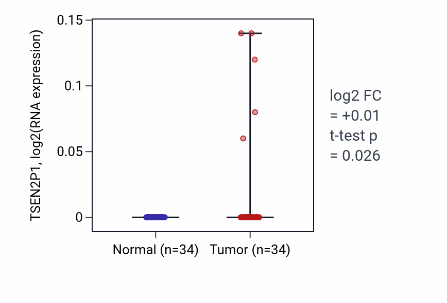 Tumor-vs-normal expression box plot for TSEN2P1 RNA in COAD.