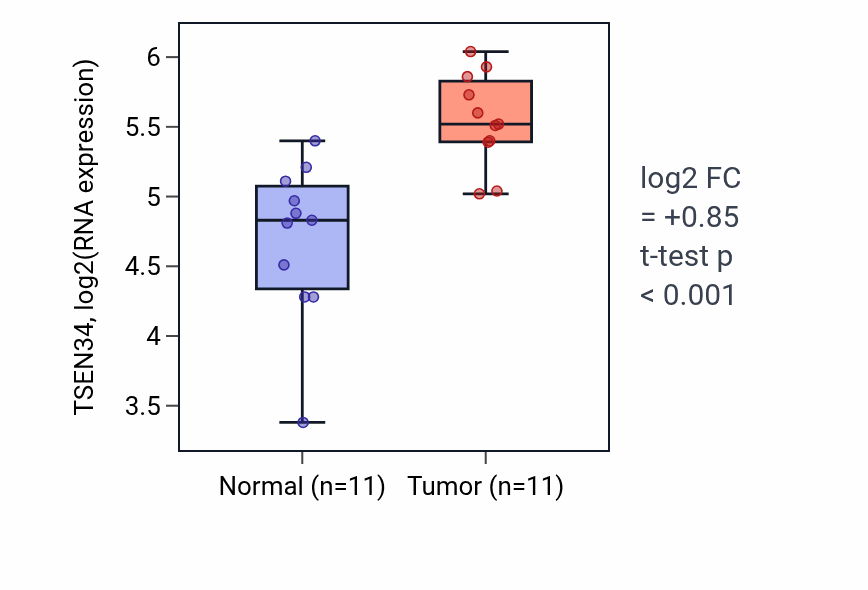 Tumor-vs-normal expression box plot for TSEN34 RNA in HNSC.