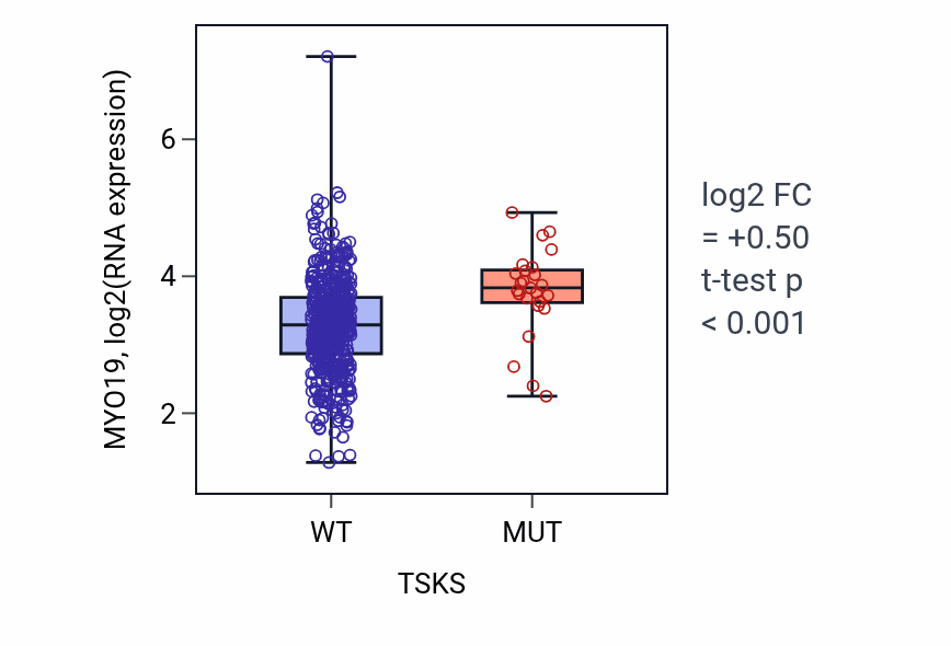 Box plot of MYO19 in TSKS-low vs TSKS-high samples in UCEC.