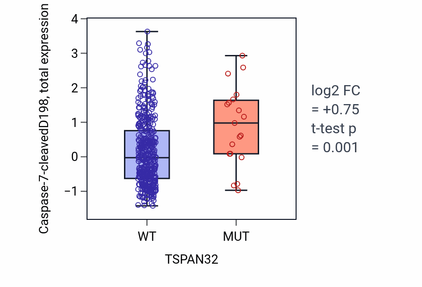 Box plot of Caspase-7-cleavedD198 in TSPAN32-low vs TSPAN32-high samples in UCEC.