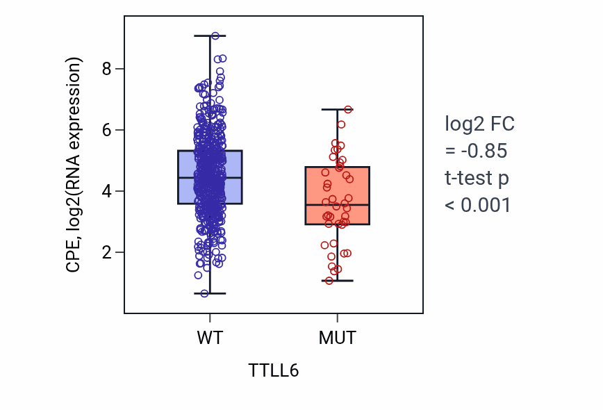 Box plot of CPE in TTLL6-low vs TTLL6-high samples in UCEC.
