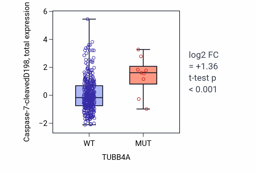 Box plot of Caspase-7-cleavedD198 in TUBB4A-low vs TUBB4A-high samples in COAD.