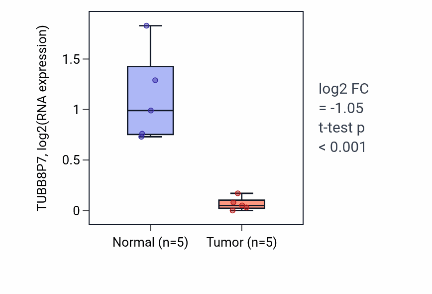 Tumor-vs-normal expression box plot for TUBB8P7 in KIRP.