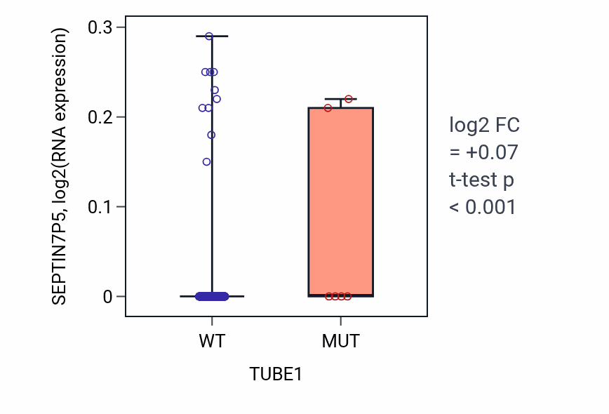 Box plot of SEPTIN7P5 in TUBE1-low vs TUBE1-high samples in SKCM.
