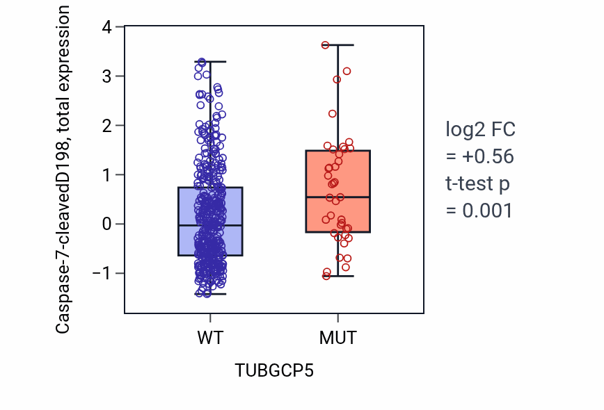 Box plot of Caspase-7-cleavedD198 in TUBGCP5-low vs TUBGCP5-high samples in UCEC.