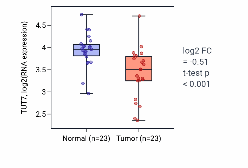 Tumor-vs-normal expression box plot for TUT7 RNA in THCA.