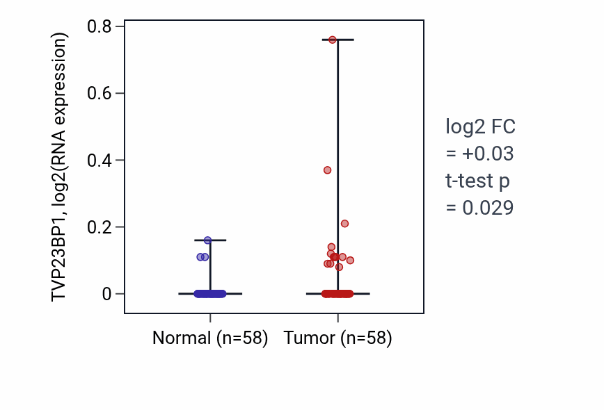 Tumor-vs-normal expression box plot for TVP23BP1 in THCA.
