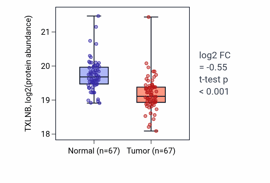 Tumor-vs-normal mass-spec protein box plot for TXLNB in LSCC.