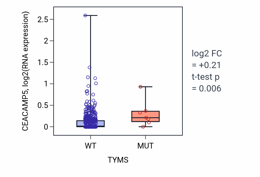 Box plot of CEACAMP5 in TYMS-low vs TYMS-high samples in UCEC.