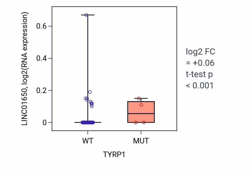 Box plot of LINC01650 in TYRP1-low vs TYRP1-high samples in HNSC.
