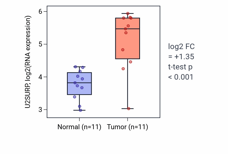 Tumor-vs-normal expression box plot for U2SURP RNA in HNSC.