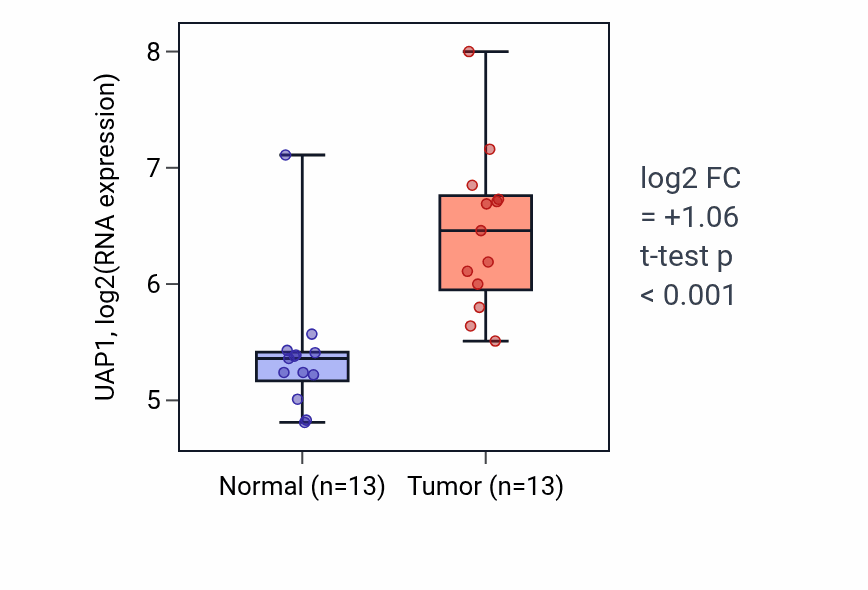Tumor-vs-normal expression box plot for UAP1 RNA in LUAD.