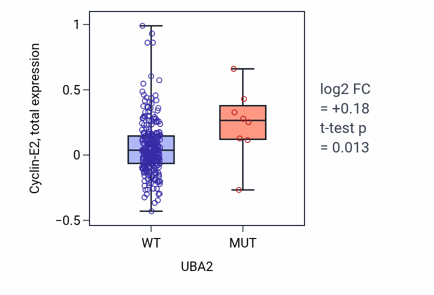 Box plot of Cyclin-E2 in UBA2-low vs UBA2-high samples in STAD.