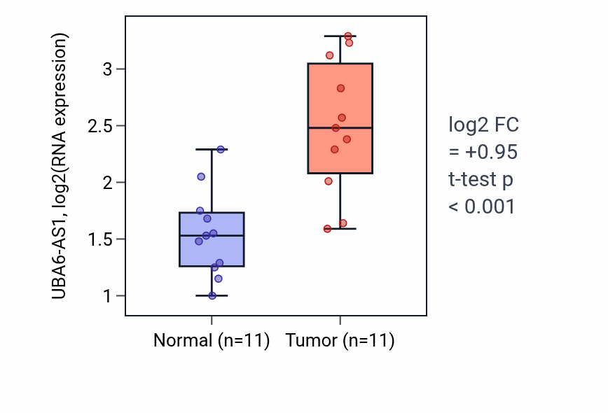 Tumor-vs-normal expression box plot for UBA6-AS1 in HNSC.