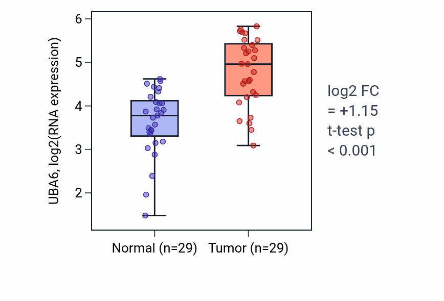 Tumor-vs-normal expression box plot for UBA6 RNA in HNSC.