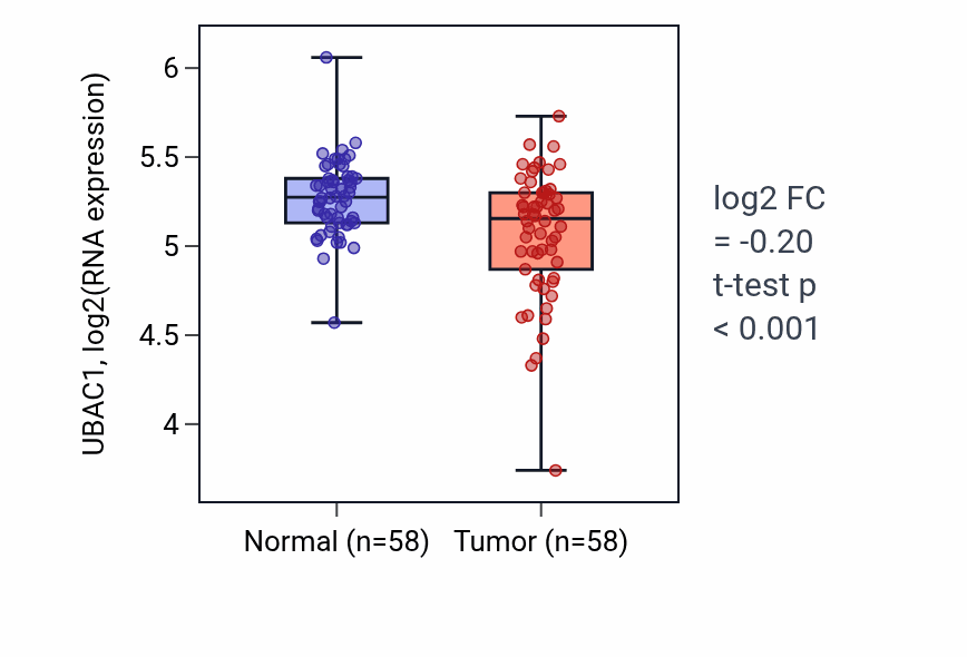 Tumor-vs-normal expression box plot for UBAC1 RNA in THCA.