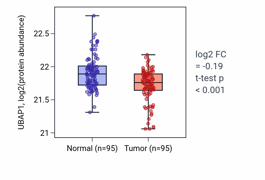 Tumor-vs-normal mass-spec protein box plot for UBAP1 in COAD.