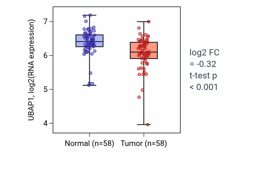 Tumor-vs-normal expression box plot for UBAP1 RNA in THCA.