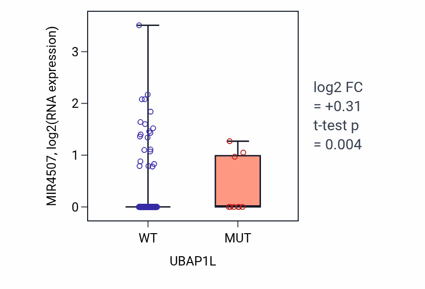 Box plot of MIR4507 in UBAP1L-low vs UBAP1L-high samples in UCEC.