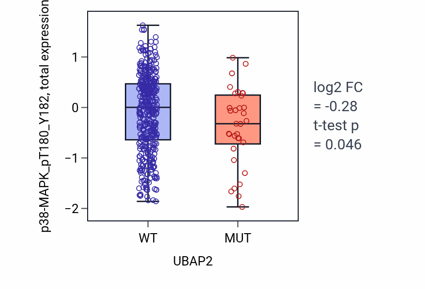 Box plot of p38-MAPK_pT180_Y182 in UBAP2-low vs UBAP2-high samples in UCEC.