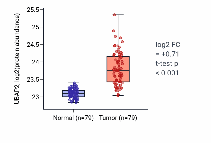 Tumor-vs-normal mass-spec protein box plot for UBAP2 in LSCC.