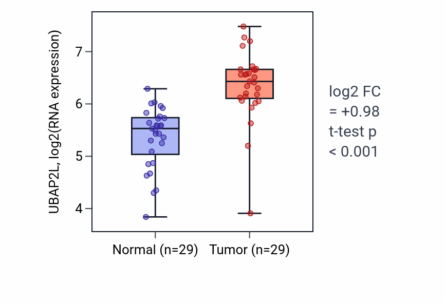 Tumor-vs-normal expression box plot for UBAP2L RNA in HNSC.