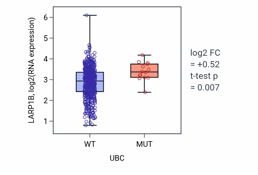 Box plot of LARP1B in UBC-low vs UBC-high samples in UCEC.