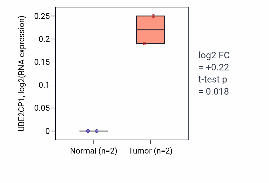 Tumor-vs-normal expression box plot for UBE2CP1 in PAAD.